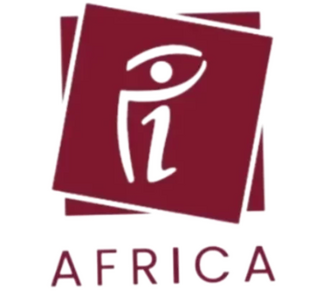 company's Logo - Public Image Africa